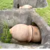 甕棺墓