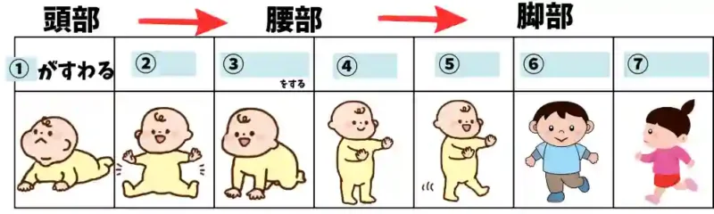 ７つの幼児の体の発達　穴埋め問題
