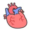 心臓