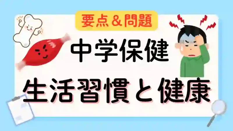 生活習慣と健康 アイキャッチ画像